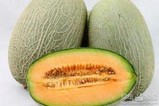 鹅网红吃哈密瓜,舌尖上的哈密瓜盛宴