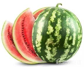 吃瓜网在哪打开,吃瓜网打开方法大揭秘，轻松畅享热门资讯！