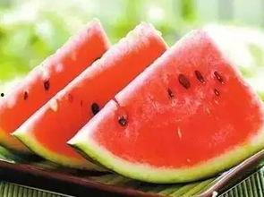 吃瓜网life,带你领略网络娱乐新风向