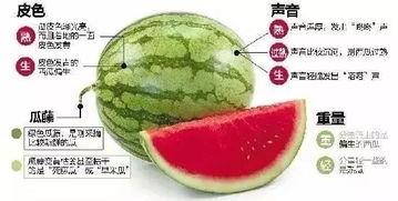 网红吃瓜入口微信,揭秘娱乐圈幕后真相