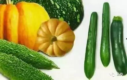 网调吃瓜,揭秘网络热议背后的真相与笑料