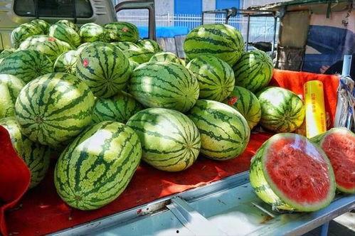 青海网红吃瓜事件真相揭秘,揭秘背后真相与争议 第2张 青海网红吃瓜事件真相揭秘,揭秘背后真相与争议 第2张